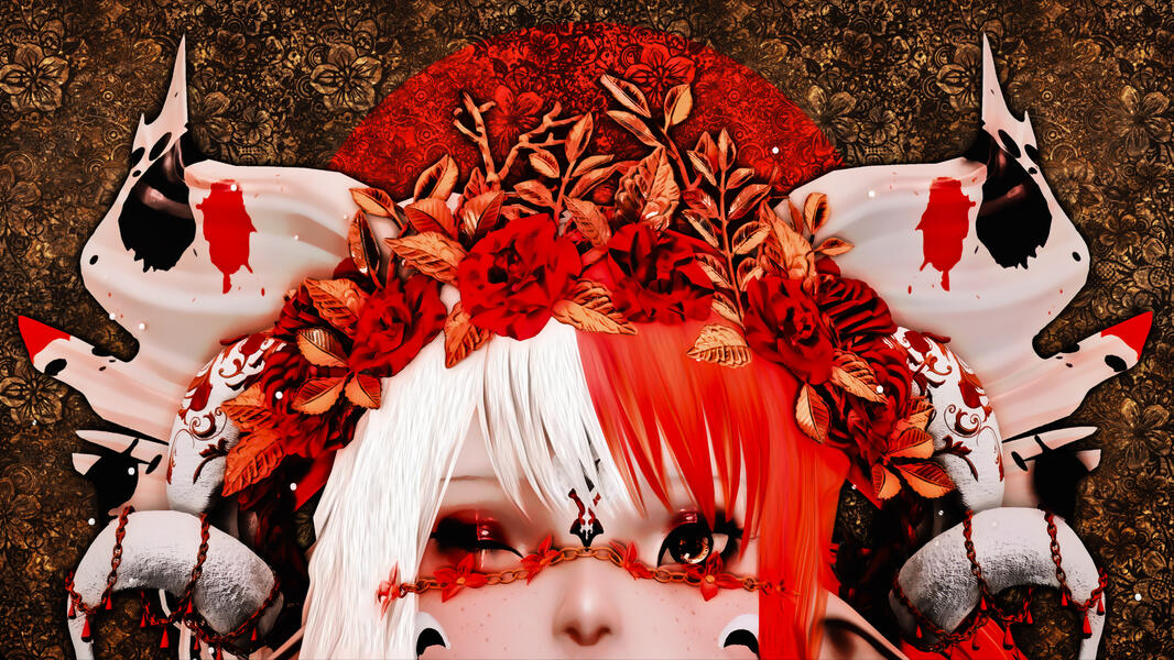 2024 - DT - Peek-a-boo