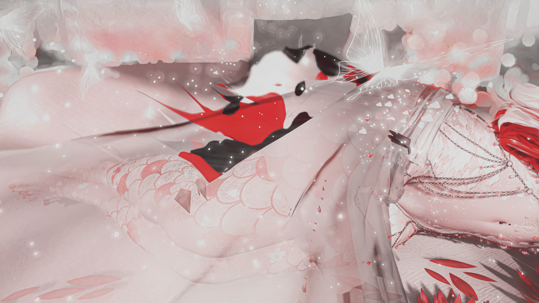 2025 - DT - Bed of stars