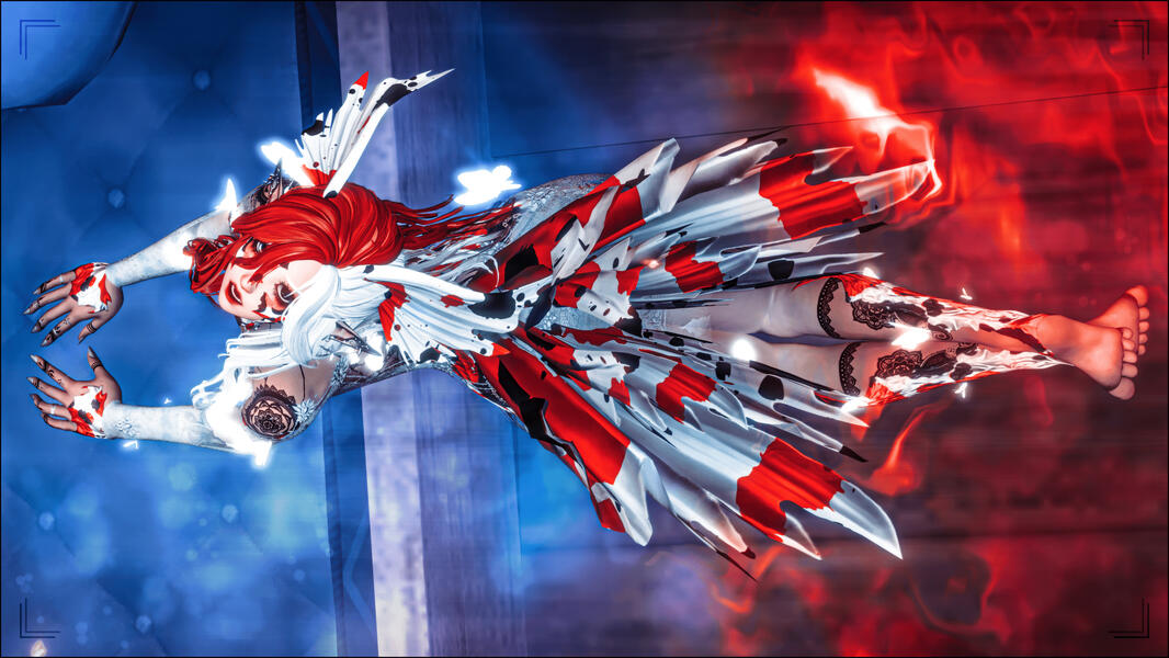 2024 - EW - Looking Up