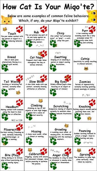 2025 - DT - L&#39;yphtys &amp; Etherea Feline Behavior