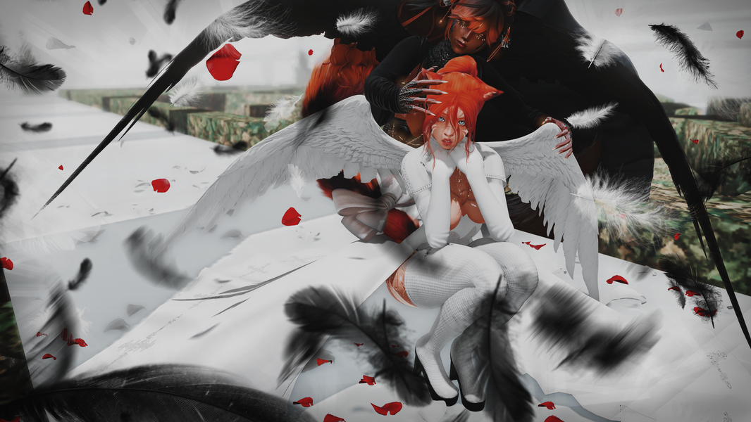 2025 - DT - Fallen from grace