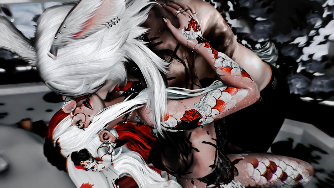 2024 - DT - To the Heavens