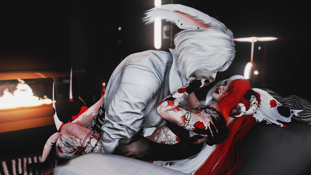 2024 - DT - Not now Darling