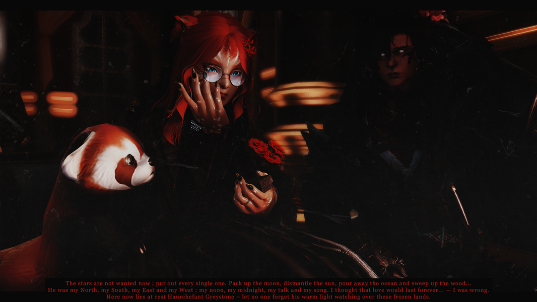 2025 - DT - Meeting the Greystone Widow